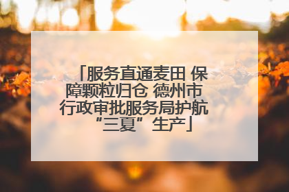 服务直通麦田 保障颗粒归仓 德州市行政审批服务局护航“三夏”生产