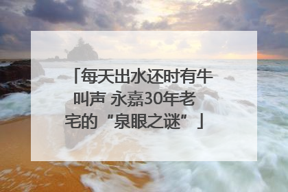 每天出水还时有牛叫声 永嘉30年老宅的“泉眼之谜”
