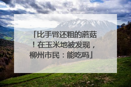 比手臂还粗的蘑菇！在玉米地被发现，柳州市民：能吃吗