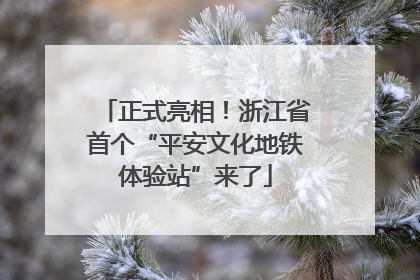 正式亮相！浙江省首个“平安文化地铁体验站”来了