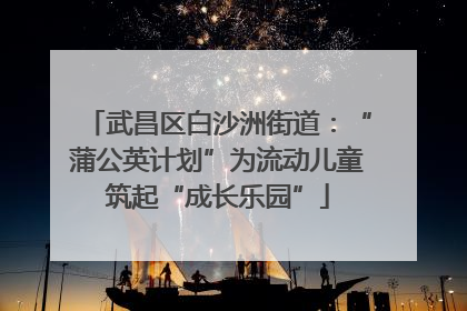 武昌区白沙洲街道：“蒲公英计划”为流动儿童筑起“成长乐园”