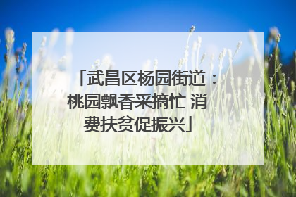 武昌区杨园街道：桃园飘香采摘忙 消费扶贫促振兴