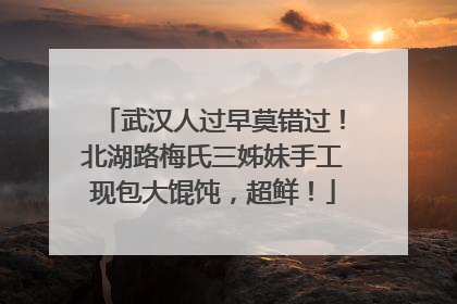 武汉人过早莫错过！北湖路梅氏三姊妹手工现包大馄饨，超鲜！