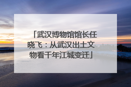 武汉博物馆馆长任晓飞：从武汉出土文物看千年江城变迁