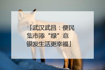 武汉武昌：便民集市添“绿”意 银发生活更幸福