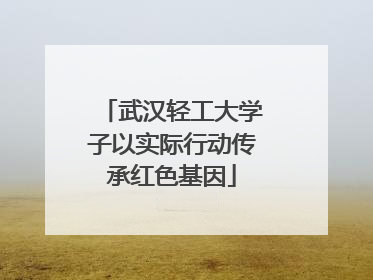 武汉轻工大学子以实际行动传承红色基因