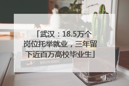 武汉：18.5万个岗位托举就业，三年留下近百万高校毕业生
