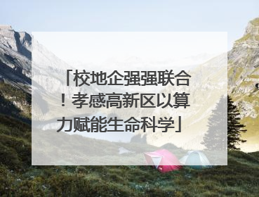 校地企强强联合！孝感高新区以算力赋能生命科学
