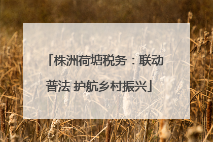 株洲荷塘税务：联动普法 护航乡村振兴