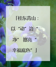 桂东青山：以“动”治“净” 擦亮“幸福底色”