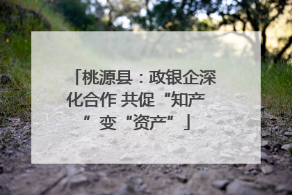 桃源县：政银企深化合作 共促“知产”变“资产”