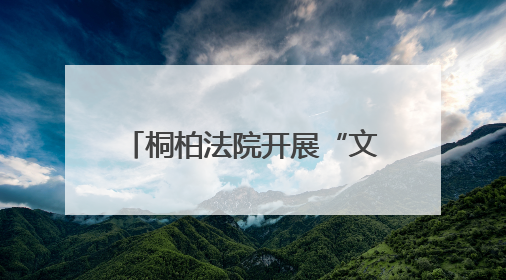 桐柏法院开展“文明服务我出彩 群众满意在窗口”活动