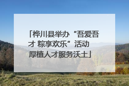 桦川县举办“吾爱吾才 粽享欢乐”活动 厚植人才服务沃土