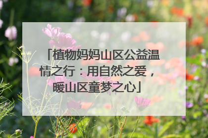 植物妈妈山区公益温情之行：用自然之爱，暖山区童梦之心