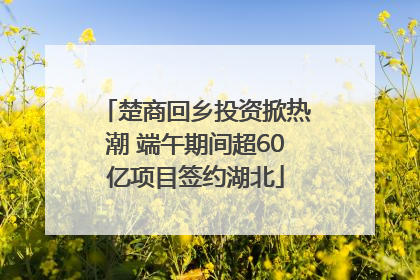 楚商回乡投资掀热潮 端午期间超60亿项目签约湖北