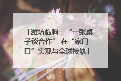 潍坊临朐：“一张桌子谈合作” 在“家门口”实现与全球接轨