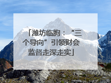 潍坊临朐：“三个导向”引领财会监督走深走实
