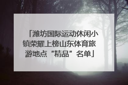 潍坊国际运动休闲小镇荣耀上榜山东体育旅游地点“精品”名单