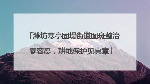 潍坊寒亭固堤街道图斑整治零容忍，耕地保护见真章