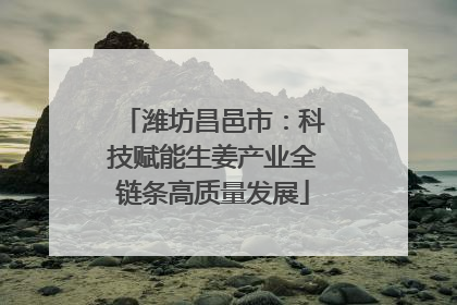 潍坊昌邑市：科技赋能生姜产业全链条高质量发展