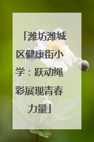 潍坊潍城区健康街小学：跃动绳彩展现青春力量