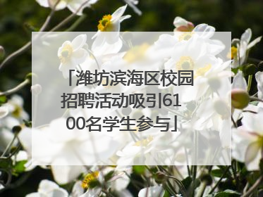 潍坊滨海区校园招聘活动吸引6100名学生参与