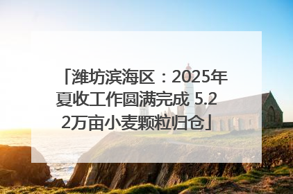 潍坊滨海区：2025年夏收工作圆满完成 5.22万亩小麦颗粒归仓