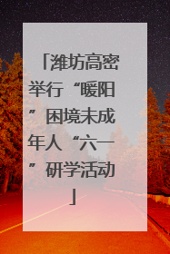 潍坊高密举行“暖阳”困境未成年人“六一”研学活动