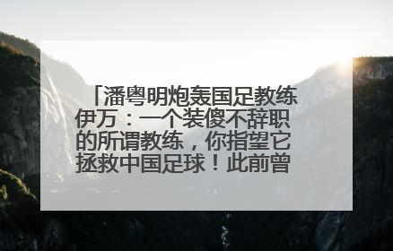 潘粤明炮轰国足教练伊万：一个装傻不辞职的所谓教练，你指望它拯救中国足球！此前曾多次发文评价国足