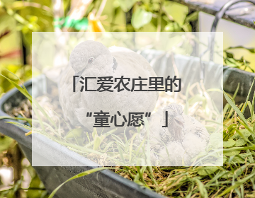 汇爱农庄里的“童心愿”