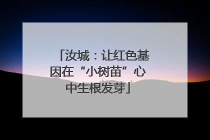 汝城：让红色基因在“小树苗”心中生根发芽