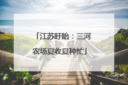 江苏盱眙：三河农场夏收夏种忙