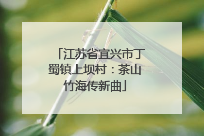 江苏省宜兴市丁蜀镇上坝村：茶山竹海传新曲