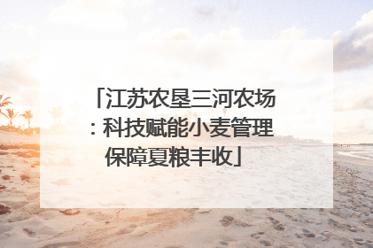 江苏农垦三河农场：科技赋能小麦管理保障夏粮丰收