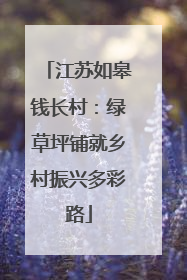 江苏如皋钱长村：绿草坪铺就乡村振兴多彩路