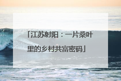 江苏射阳：一片桑叶里的乡村共富密码