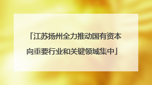 江苏扬州全力推动国有资本向重要行业和关键领域集中
