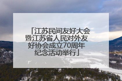 江苏民间友好大会暨江苏省人民对外友好协会成立70周年纪念活动举行
