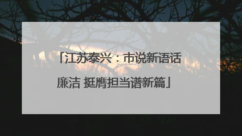 江苏泰兴：市说新语话廉洁 挺膺担当谱新篇
