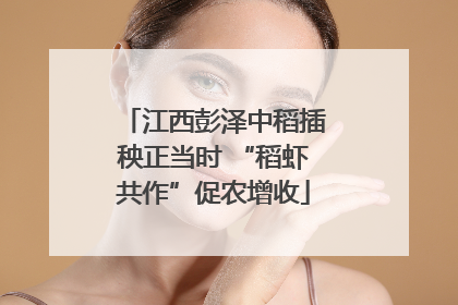 江西彭泽中稻插秧正当时 “稻虾共作”促农增收