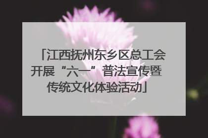 江西抚州东乡区总工会开展“六一”普法宣传暨传统文化体验活动