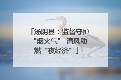 汤阴县：监督守护“烟火气” 清风助燃“夜经济”