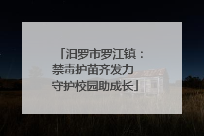汨罗市罗江镇：禁毒护苗齐发力 守护校园助成长