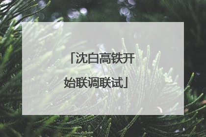 沈白高铁开始联调联试