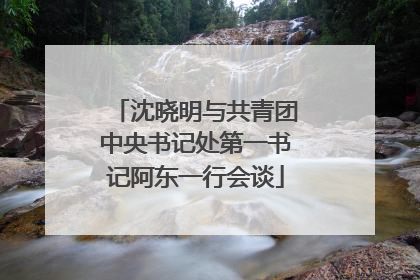 沈晓明与共青团中央书记处第一书记阿东一行会谈