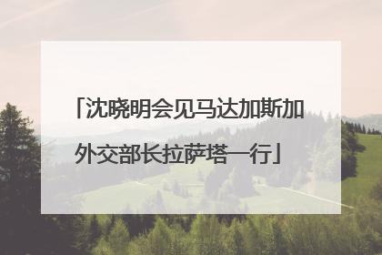 沈晓明会见马达加斯加外交部长拉萨塔一行