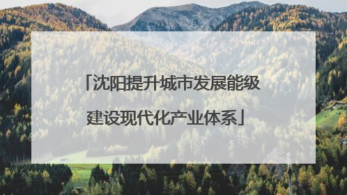 沈阳提升城市发展能级 建设现代化产业体系