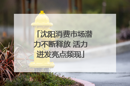 沈阳消费市场潜力不断释放 活力迸发亮点频现