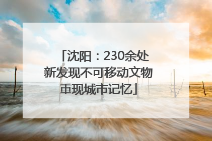 沈阳：230余处新发现不可移动文物重现城市记忆