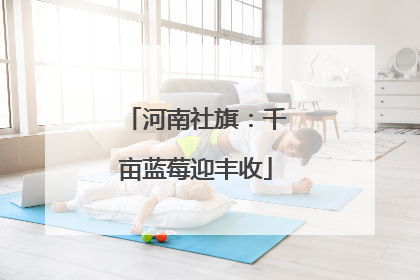 河南社旗：千亩蓝莓迎丰收